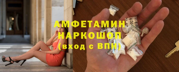 шишки Абаза