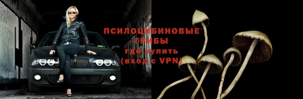 шишки Абаза