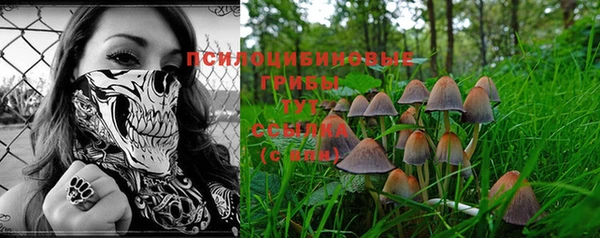 не бодяженный Абинск