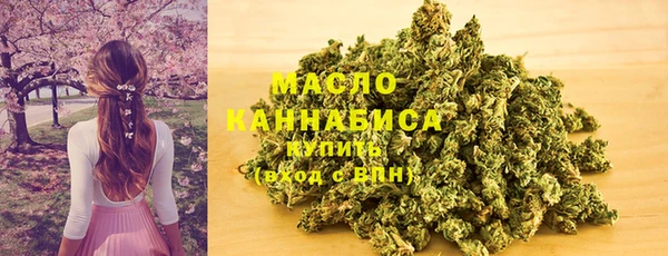 шишки Абаза