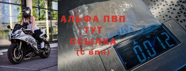 шишки Абаза