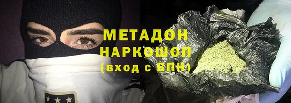 шишки Абаза