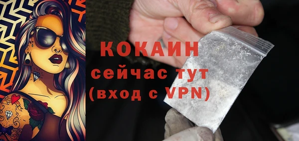 ешки Осинники