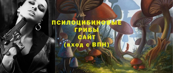 шишки Абаза
