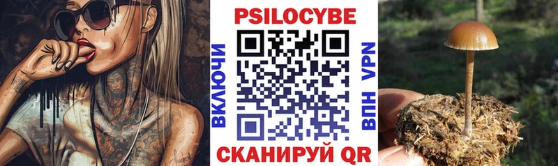 Псилоцибиновые грибы Cubensis  Торопец 
